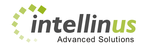 Intellinus - Artificial Intelligence Consulting